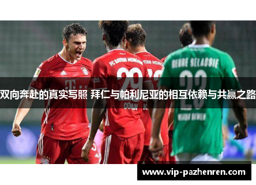 双向奔赴的真实写照 拜仁与帕利尼亚的相互依赖与共赢之路