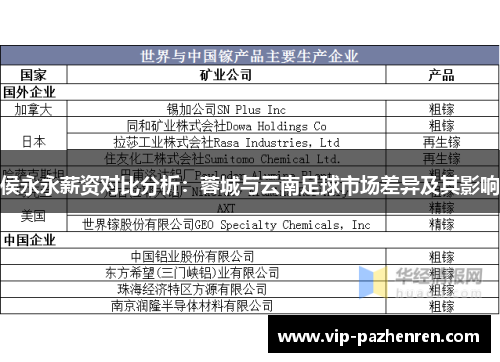 侯永永薪资对比分析：蓉城与云南足球市场差异及其影响