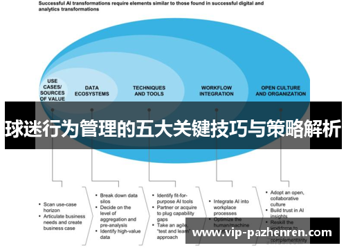 球迷行为管理的五大关键技巧与策略解析