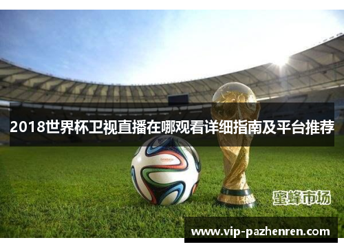 2018世界杯卫视直播在哪观看详细指南及平台推荐