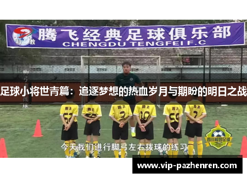 足球小将世青篇：追逐梦想的热血岁月与期盼的明日之战