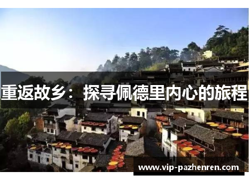 重返故乡：探寻佩德里内心的旅程