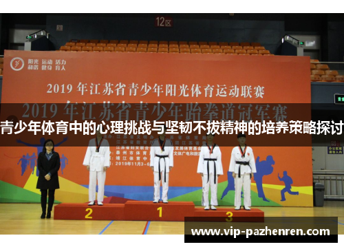 青少年体育中的心理挑战与坚韧不拔精神的培养策略探讨