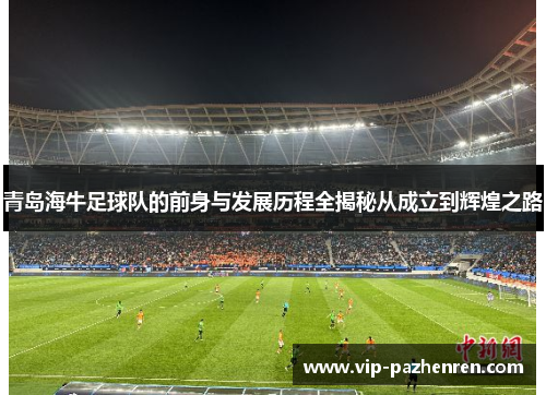 青岛海牛足球队的前身与发展历程全揭秘从成立到辉煌之路