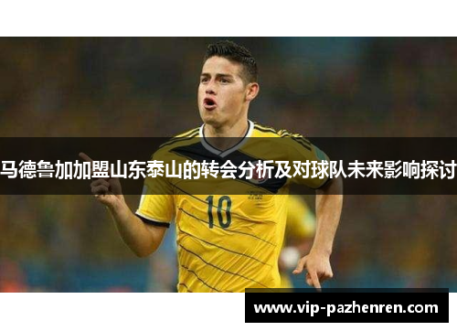 马德鲁加加盟山东泰山的转会分析及对球队未来影响探讨
