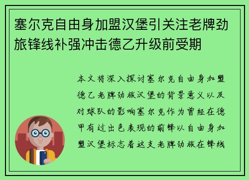 塞尔克自由身加盟汉堡引关注老牌劲旅锋线补强冲击德乙升级前受期
